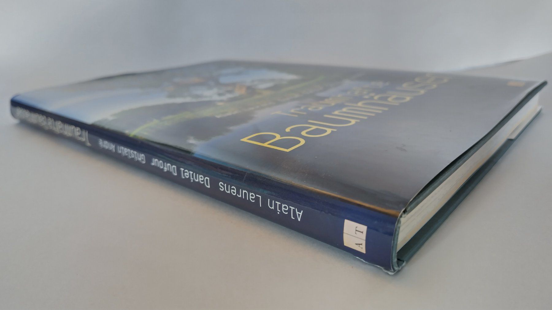 Libri: Traumhafte Baumhäuser / Grosses Baumhaus Buch ab Fr. 16.- – Usato da Bellach venduto da JingleJerry 1