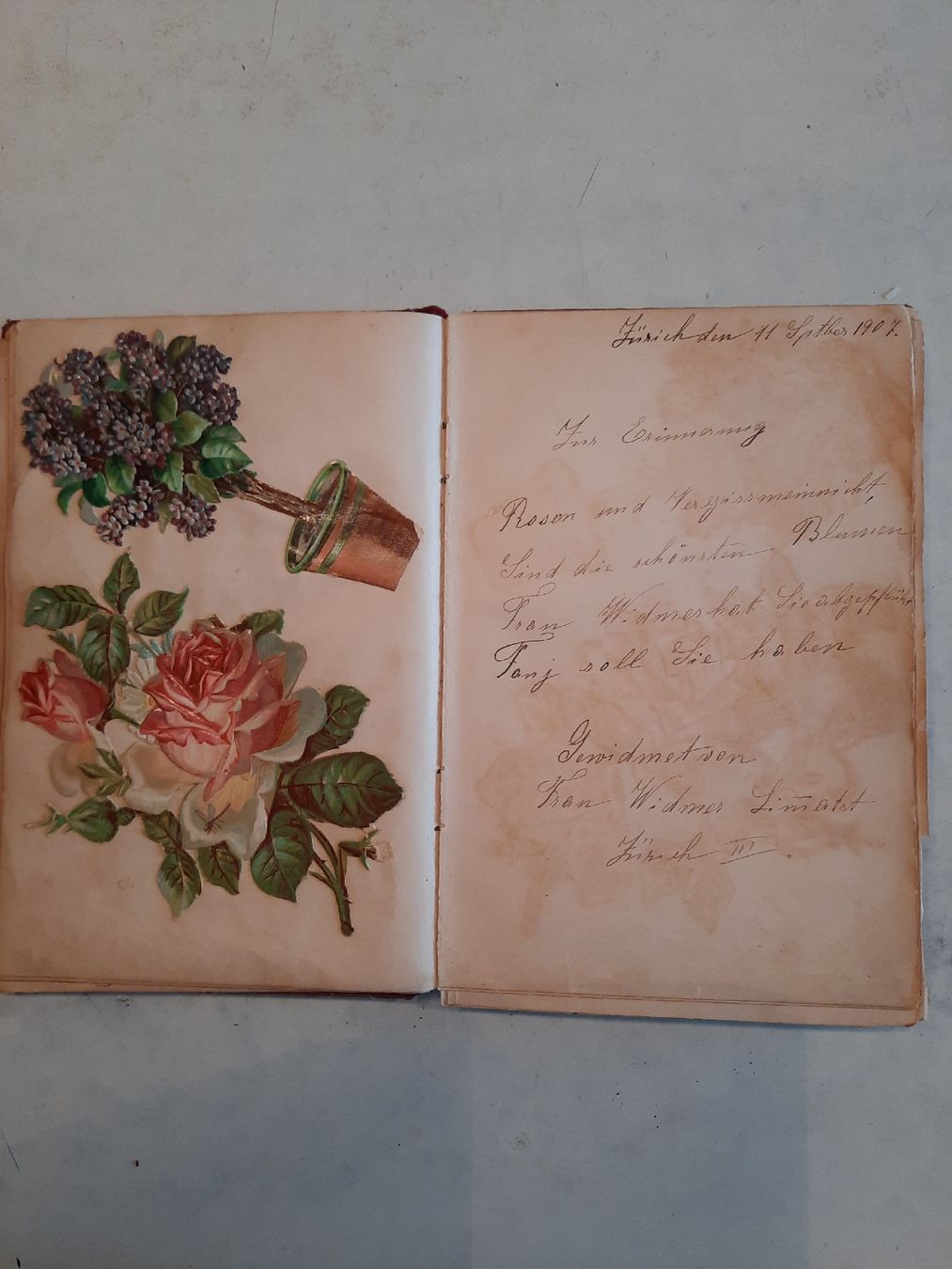 Album: Poesiealbum 1905 – Usato da Nottwil venduto da mar_jqm7 2