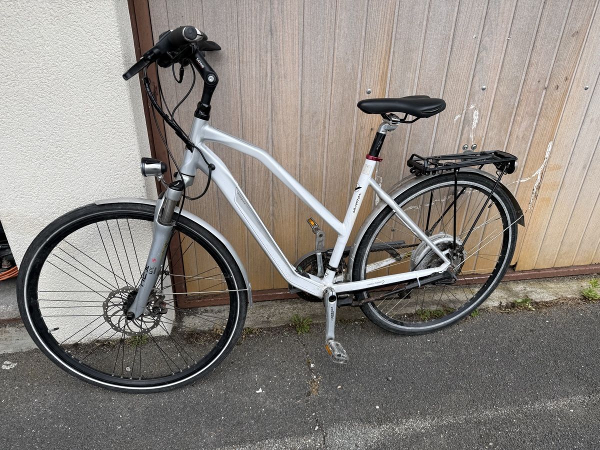Villiger Velos: Villiger E-Bike ungetestet/defekt – Defekt aus Oberentfelden von lam_vj88