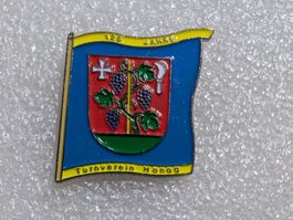 Ansteckpin 253: Turnverein Höngg