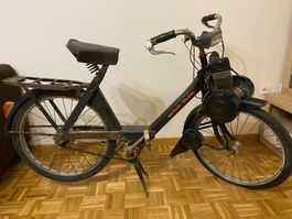 Solex 3800