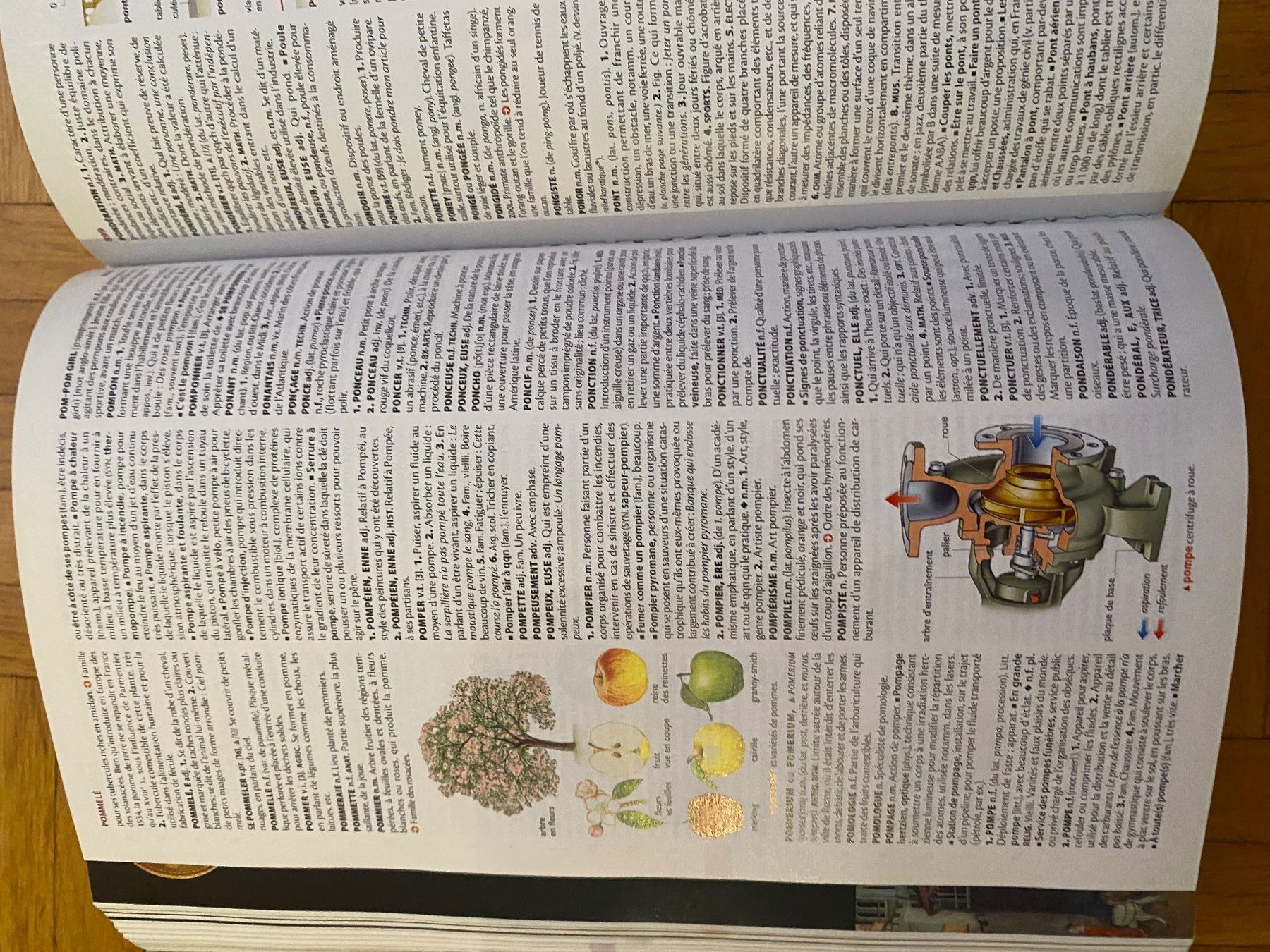 Libri: Le Petit Larousse illustré 2014 – Nuovo (secondo la descrizione) da La Tour-de-Peilz venduto da leu_hnf6 2