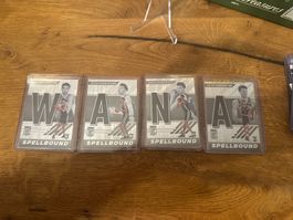 Lot spellbound Victor Wembanyama RC
