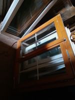 Fenster