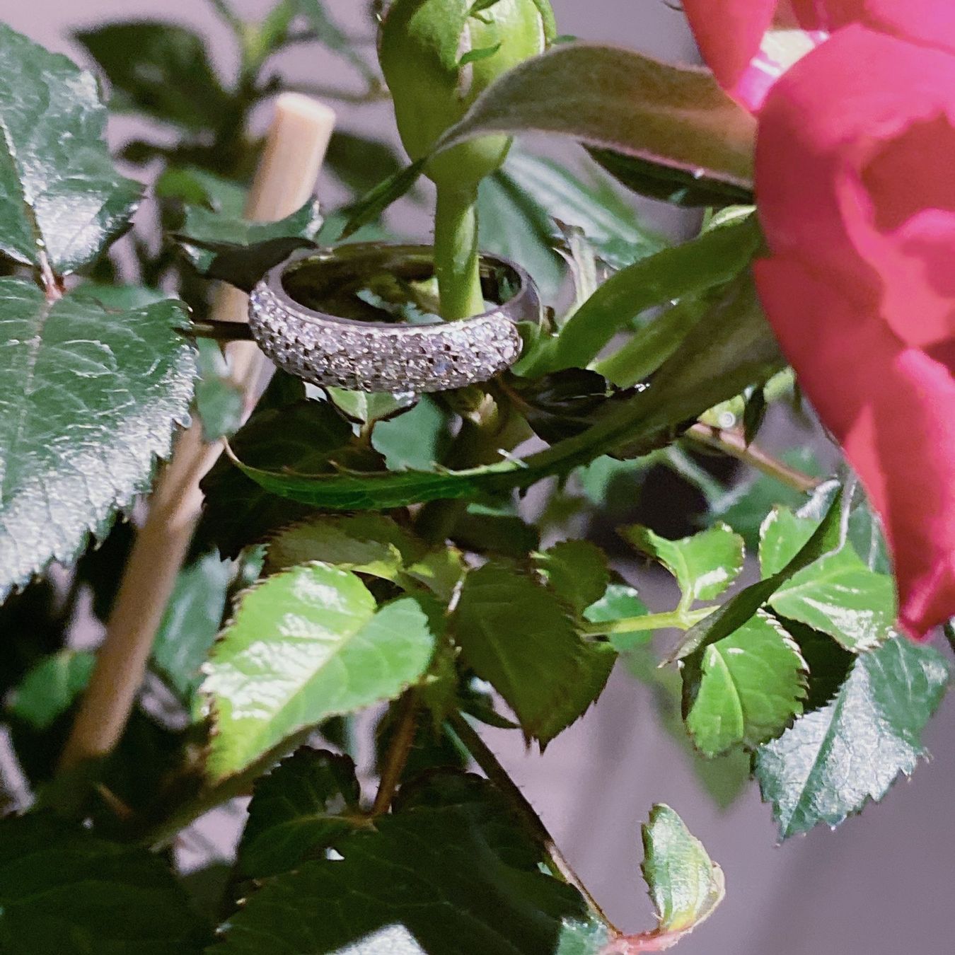 Ringe: Mini Star Ring Silber zircon – Neu und originalverpackt aus Luzern von Sommer_26 2