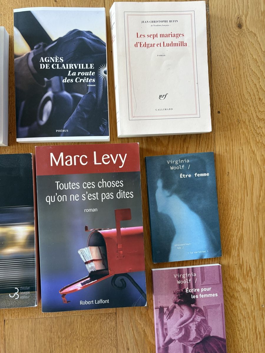 Libri: Lot de 9 Romans - Lévy, Suter, McFadden, etc – Usato da Zweisimmen venduto da Domii 2