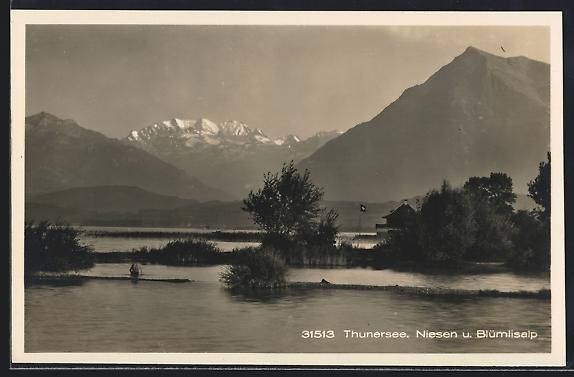 Cartoline postali: Thunersee, Seepartie mit Niesen und Bl – Usato da Berlin venduto da bartko-reher