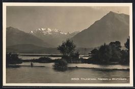 Thunersee, Seepartie mit Niesen und Bl