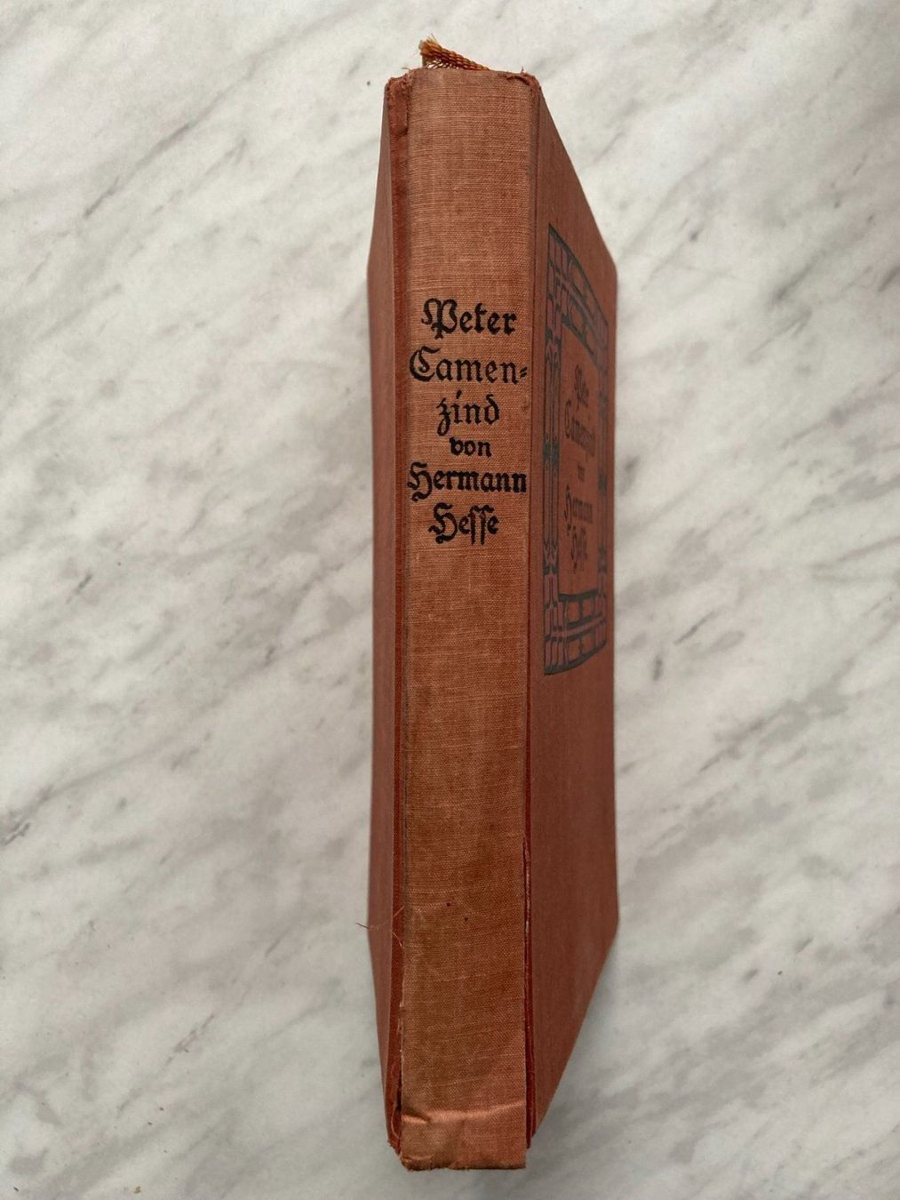 Libri: Peter Camenzind von Hermann Hesse – Usato da Mirchel venduto da buecher_wurm 1