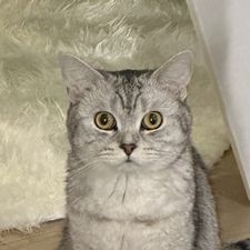 Profile image of Bruggi66