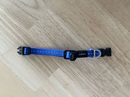 Collier pour petit chien