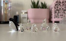 Swarovski Pinguin Set 6-teilig