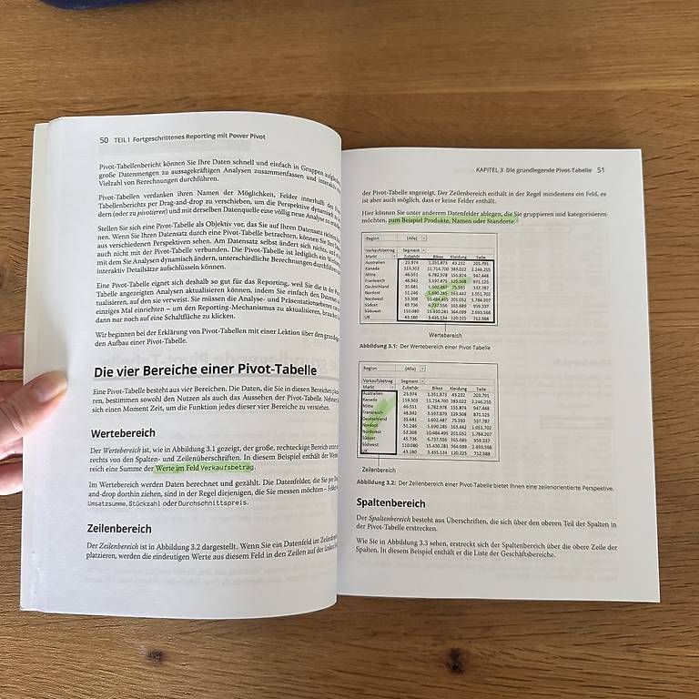 Libri: Excel Power Pivot und Power Query für dummies – Usato da Solothurn venduto da Juliasju 2
