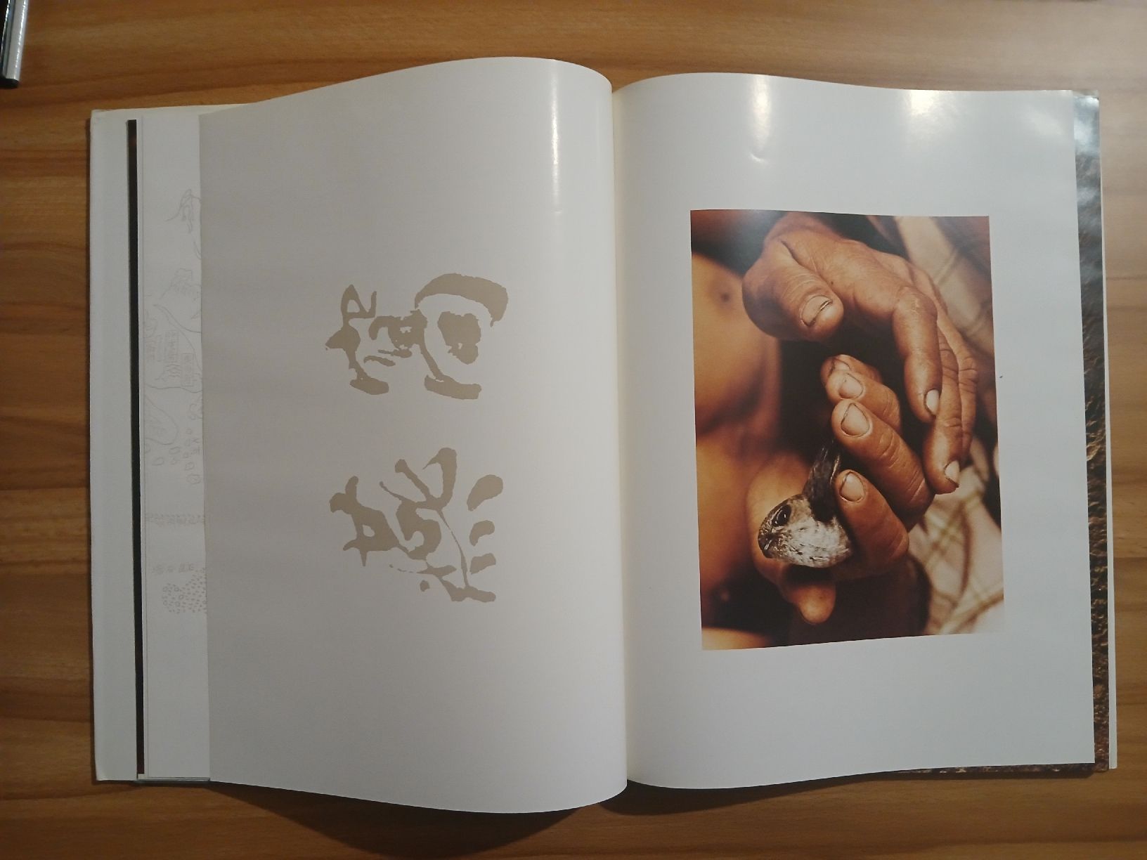 Libri: Chasseurs des Ténèbres – Usato da Le Sentier venduto da arc_2thy 3