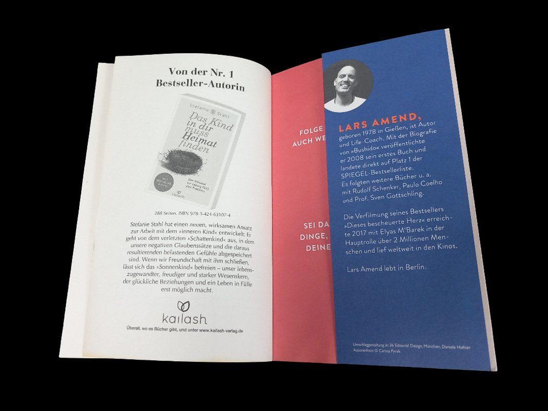 Bücher: LARS Amend IT`s ALL GOOD- Buch – Gebraucht aus Hünenberg von Restwert_Zug 4