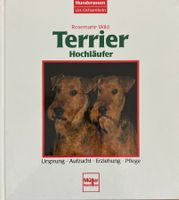 Terrier - Hochläufer