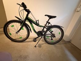 Velo Racer 