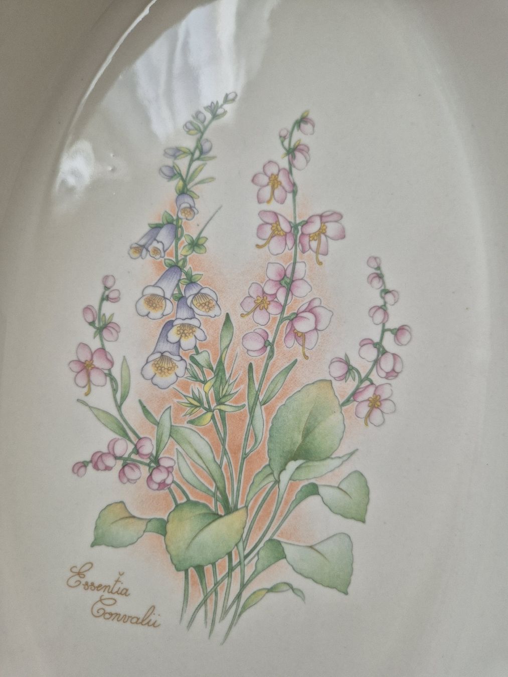 Teglie da forno: Auflaufform mit Blumendekor – Usato da Eschlikon TG venduto da zuzanka80 1