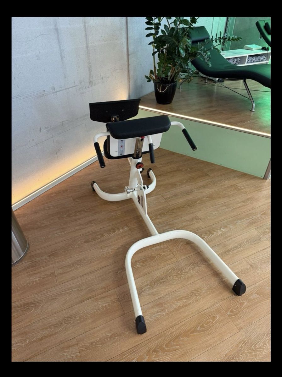 Hometrainer: Rückentrainer/Hyperextensiongerät – Usato da Aesch BL venduto da stu_bw76 1
