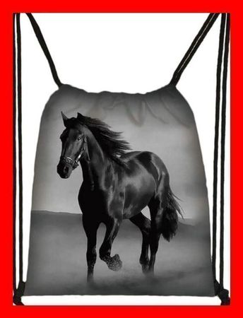 Rucksack Pferd Ross Badirucksack SCHWARZ Strand backpack