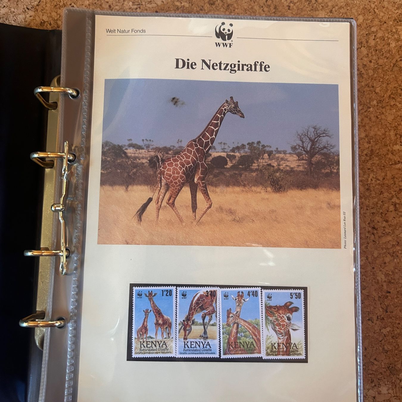 WWF Album: WWF Briefmarkenalbum TIERE – Usato da Laufen venduto da belleskulptur 1