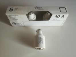 DIAZED-Schmelz-Sicherung 40A 500V