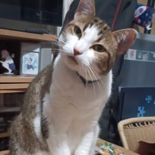 Profile image of LisaB4444