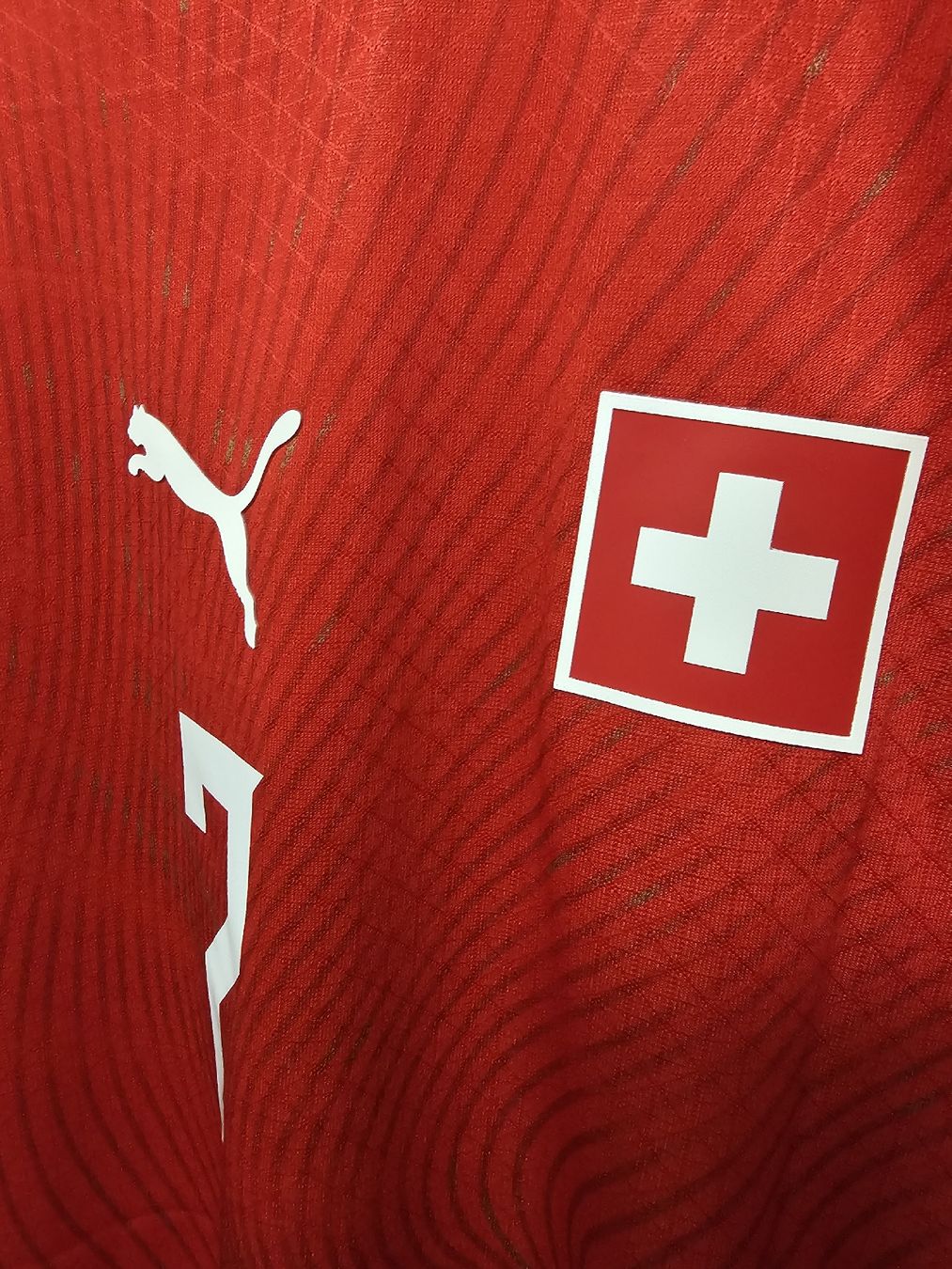 Canottiere & Pantaloni: Schweiz Spielerversion Trikot WM 2026 – Nuovo (secondo la descrizione) da Rickenbach LU venduto da LichterWelt 3