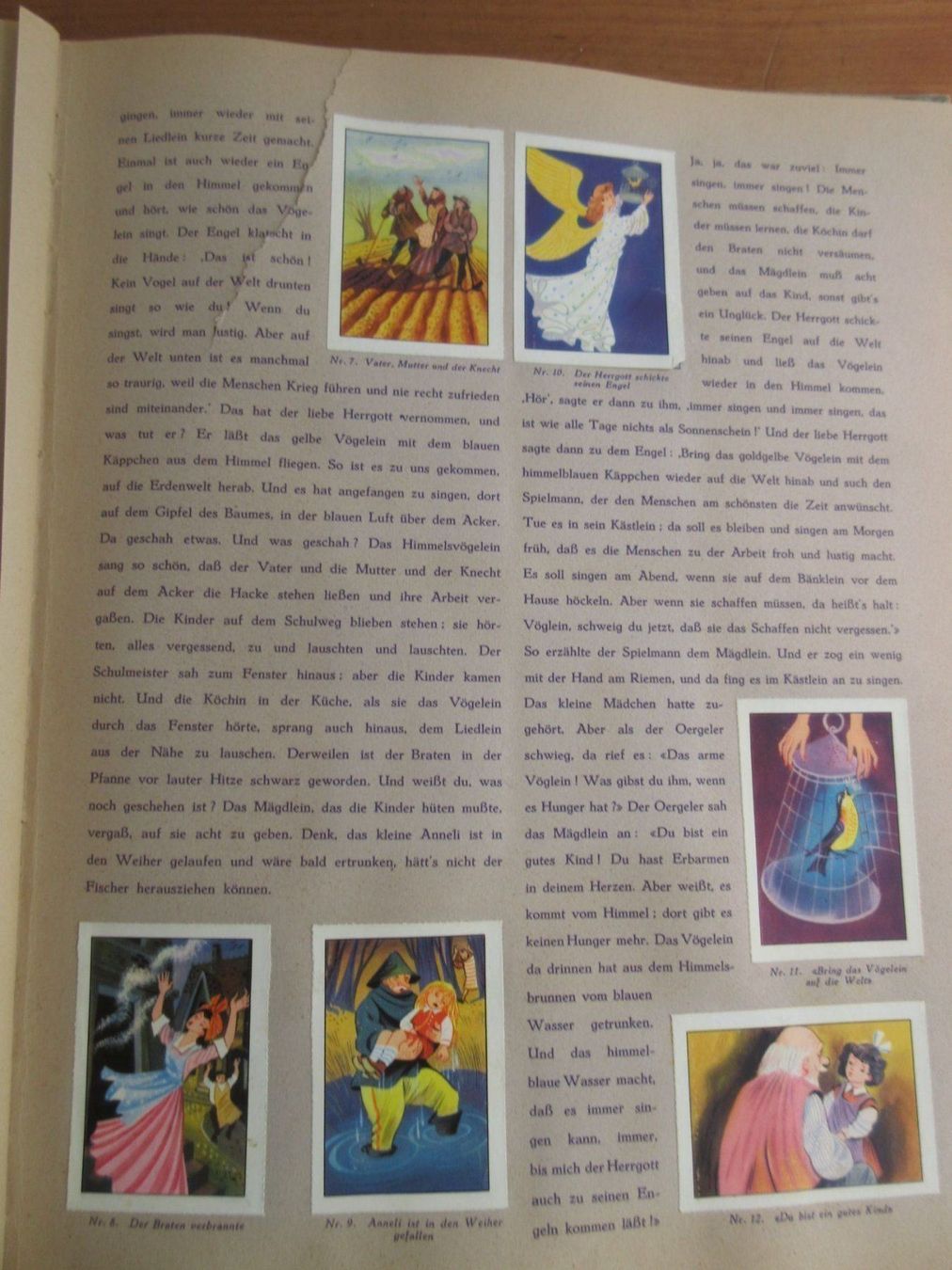 Libri: N.P.C.K. erzählt, Band 6 – Usato da Binningen venduto da mondoantico 6