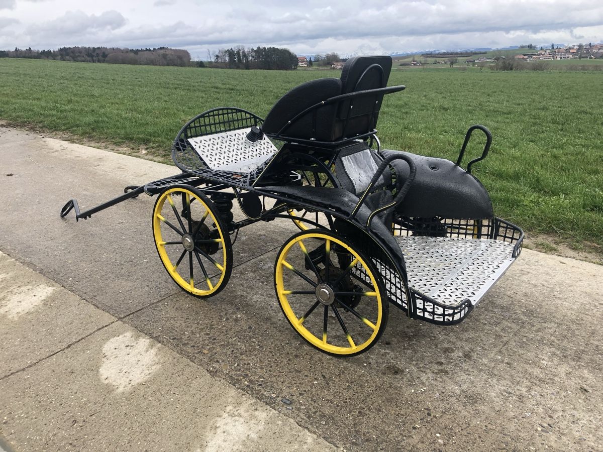 Kutschen: Char marathon et harnais pour poney – Gebraucht aus Etagnières von arnaudreichenbach 1