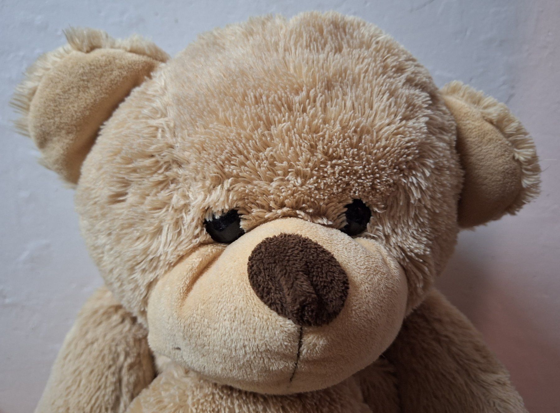 Giocattoli: Kuschel Bär, 63cm beige – Usato da Muri AG venduto da Edlerweiss 6