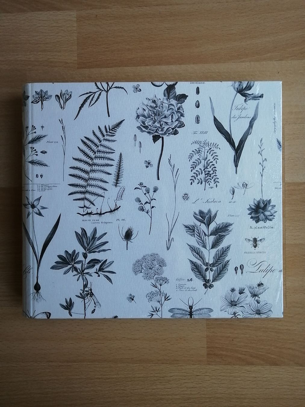 Alben: Rössler Foto-/Gästebuch – Neu und originalverpackt aus Hägendorf von Fiooo