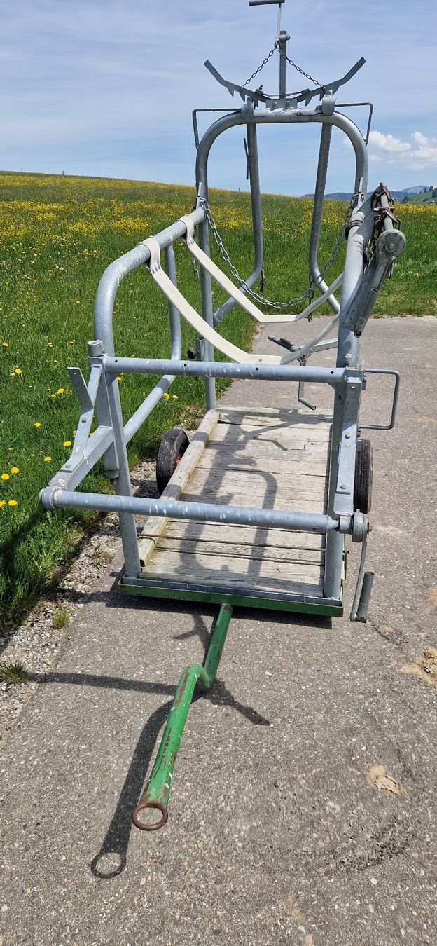 Tutte le macchine: Klauenpflegestand – Usato da Ricken SG venduto da Tonl 1