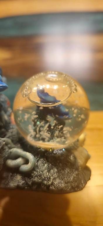 Tutte le decorazioni: Delfin Deko-Schneekugel – Nuovo (secondo la descrizione) da Zürich venduto da ale_xxz7 1