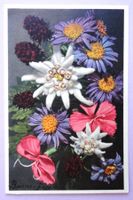 Edelweiss, Etoile des glaciers