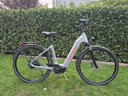 TDS E-Bike 25 km/h