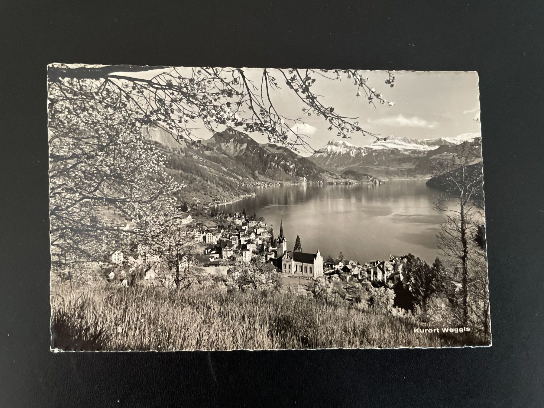 Cartoline postali: AK LU Kurort Weggis, 1957 – Usato da Thal venduto da Danny82