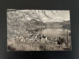 AK LU Kurort Weggis, 1957
