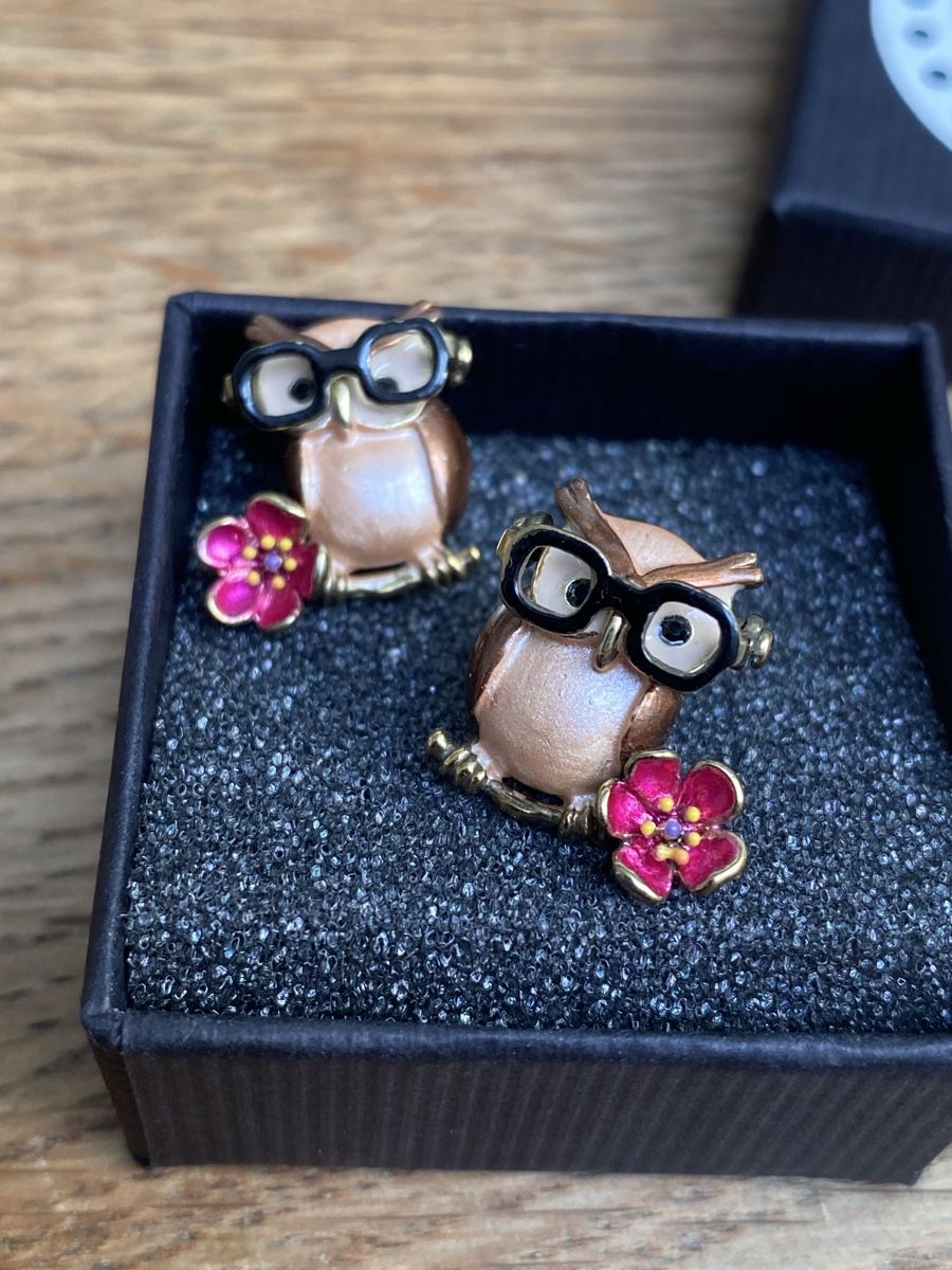Ohrringe & -stecker: Suesse Ohrstecker Eule mit Brille, Modeschmuck, Neuwertig – Gebraucht aus Thalwil von Alice015 2