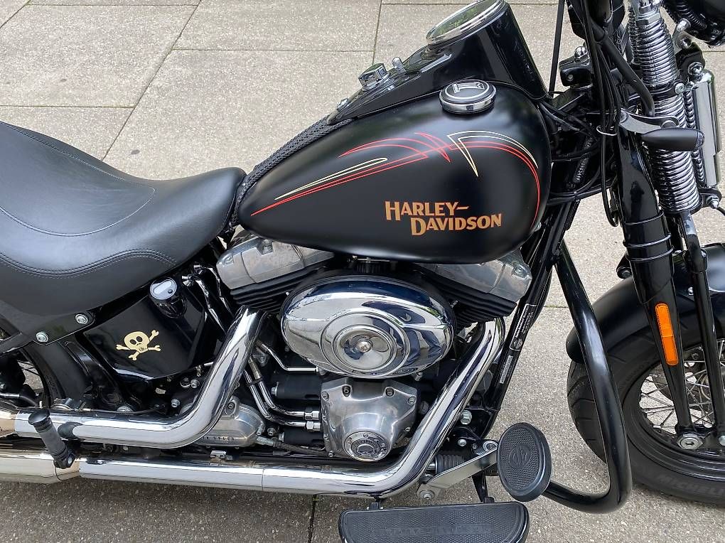 Chopper: Cross Bones Harley Davidson Springer Softail FLSTSB  – Usato da Basel venduto da Gardusi57 3