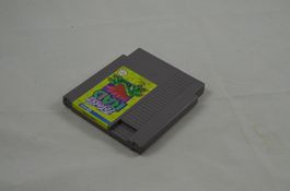 Totally Rad NES Spiel