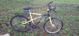 Kult Mtb Bianchi
