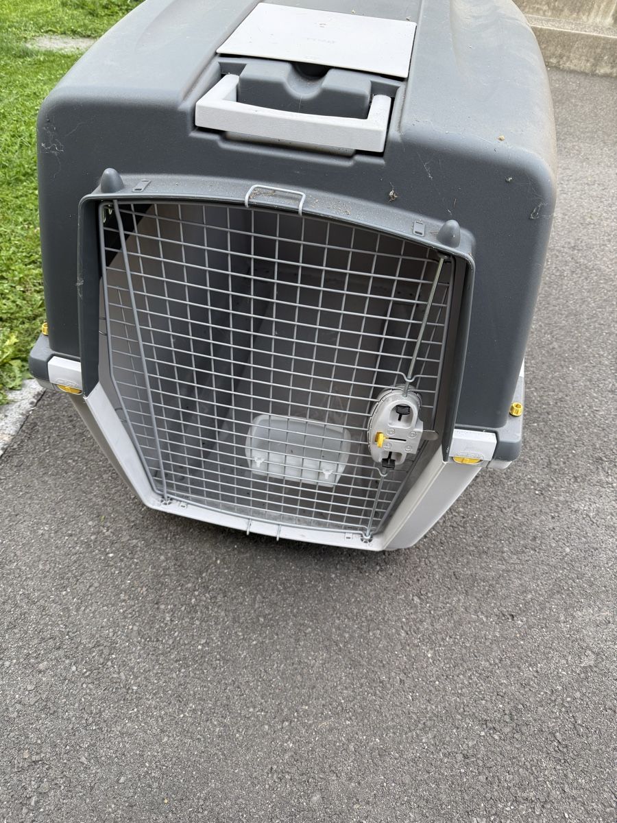 Gabbie, trasporto & Sicurezza: Hundebox Gulliver Nr.7 – Nuovo (secondo la descrizione) da Giswil venduto da MBU21