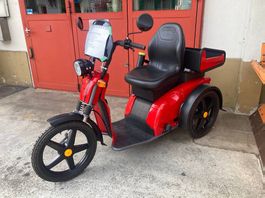 Kyburz DX2 100Ah in Top Zustand 30 km/h