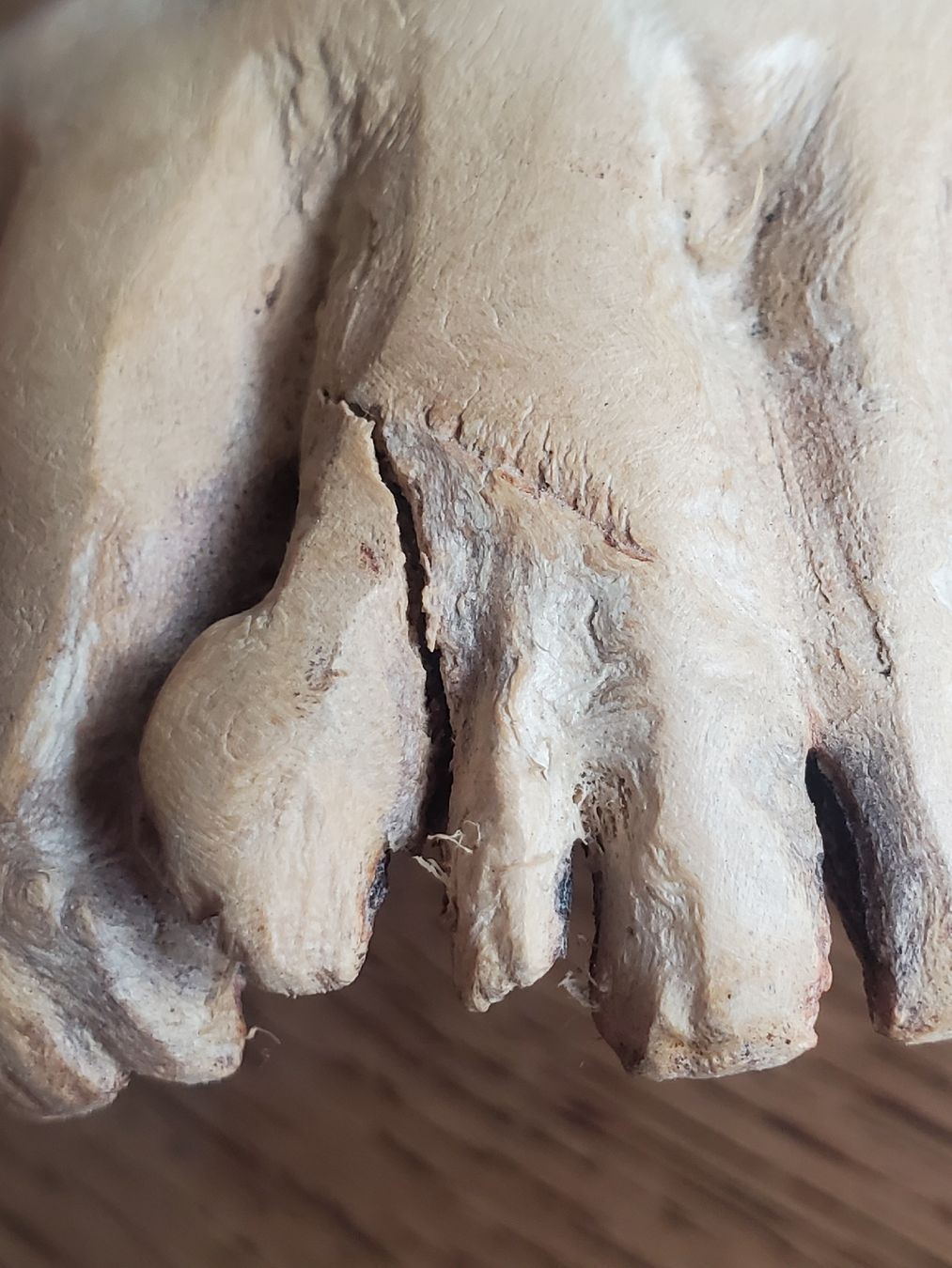 Figuren: Holzfigur Vogel auf Ast handgeschnitzt – Gebraucht aus Frauenfeld von BeneFull 8