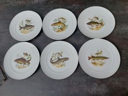 6 Speiseteller mit Fischmotiven, Langenthal, Vintage