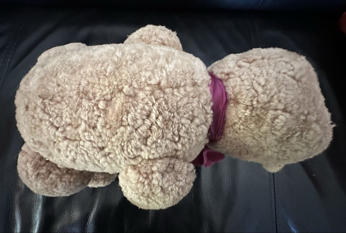 Spielzeuge: TeddY Bär - wurde handgemacht & ca. 30jährig  – Gebraucht aus Gysenstein von HerZliCHer501 2