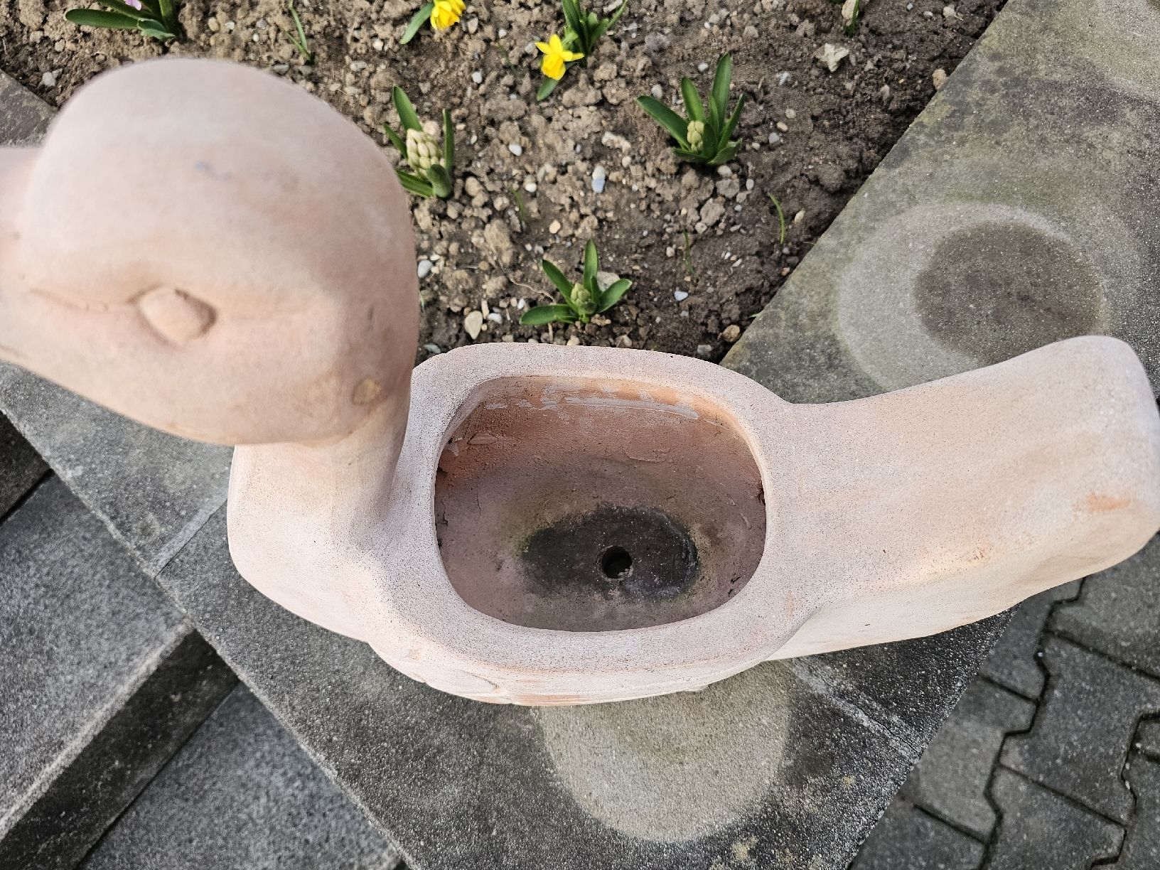 Vasi per fiori: Blumentopf Terracotta Schwan – Usato da Villnachern venduto da hasta08 2
