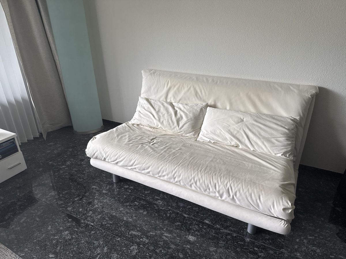 Divani: Ligne Roset Schlafsofa Multi – Usato da Lachen SZ venduto da amazonic