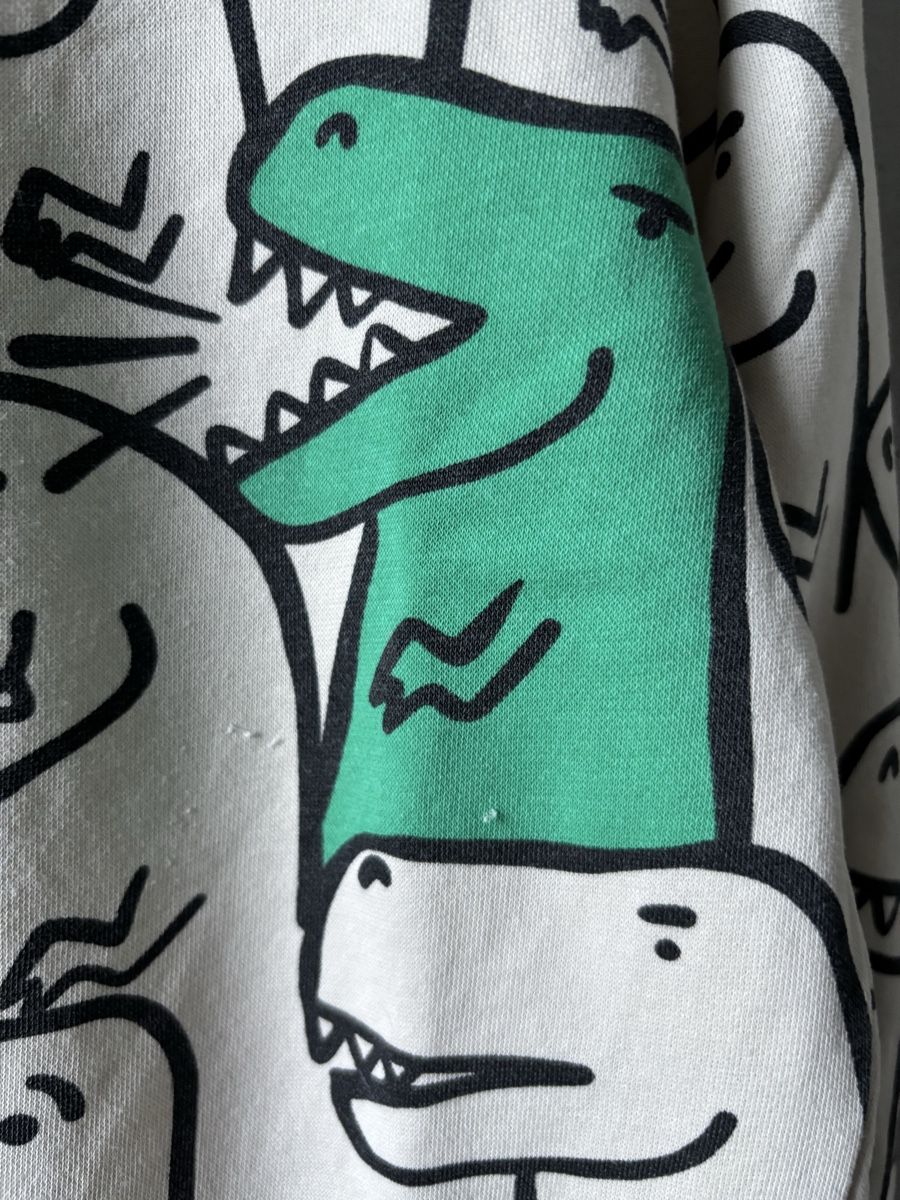 H&M Pulls et sweat-shirts: Pullover H&M 110 116 beige Dino  – D'occasion à Rebstein par wendy321meins 4